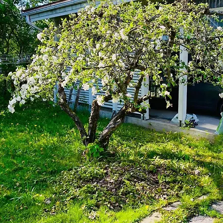 Lovely House - Free Parking - 10 Min To Downtown 펜션